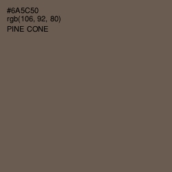 #6A5C50 - Pine Cone Color Image